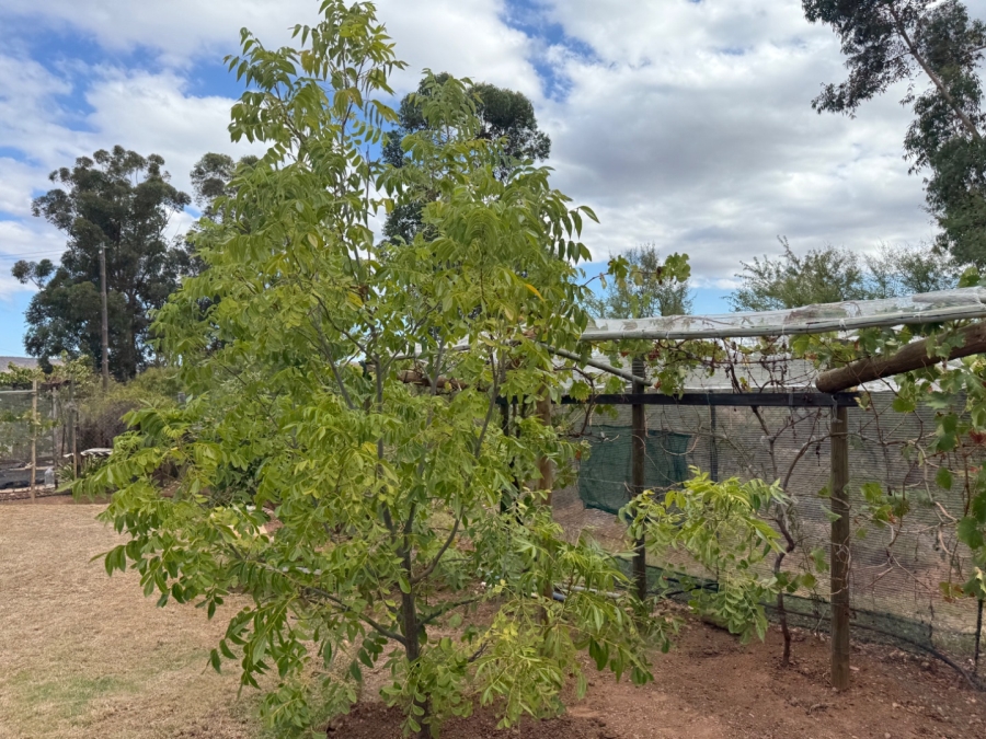 5 Bedroom Property for Sale in Ladismith Western Cape